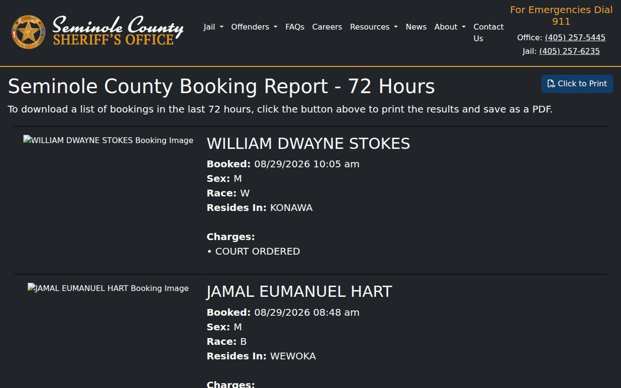 Seminole County Jail 72-hour booking report interface